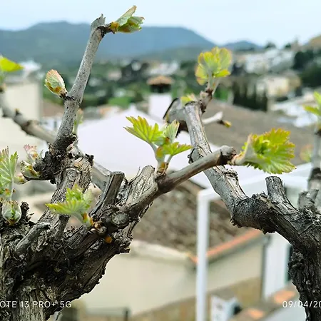 La Casita De La Parra Дом отдыха *