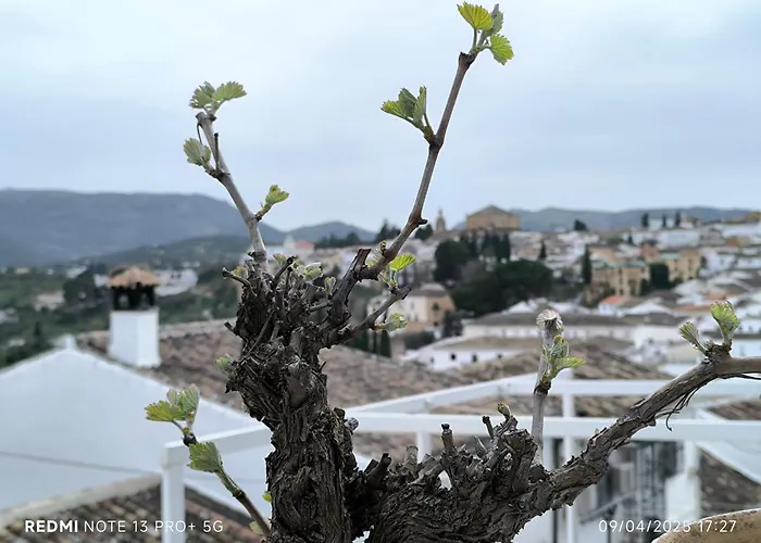 La Casita De La Parra Casa vacanze Ronda