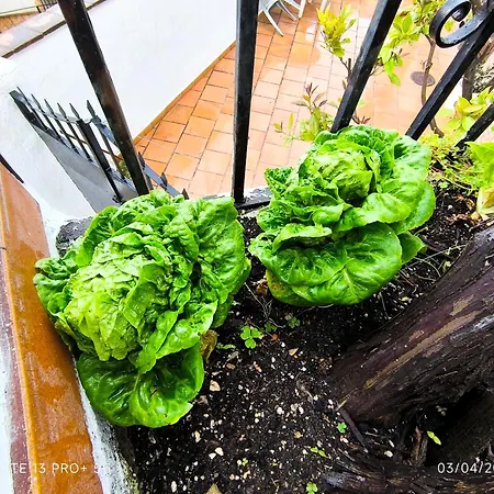 La Casita De La Parra Vakantiehuis *