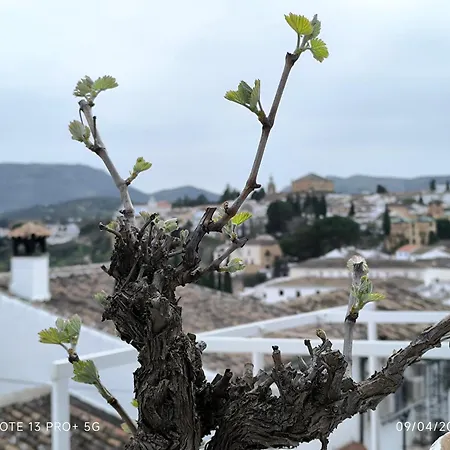 La Casita De La Parra Vakantiehuis Ronda