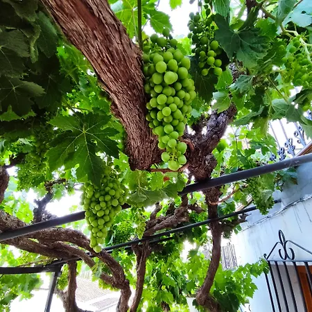 La Casita De La Parra Ronda