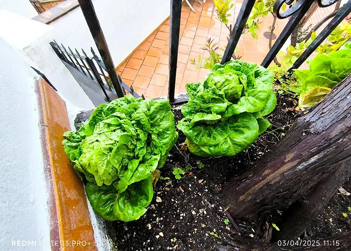 La Casita De La Parra Nyaraló *