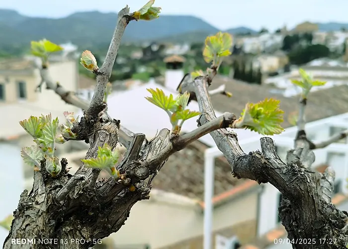 La Casita De La Parra Nyaraló *