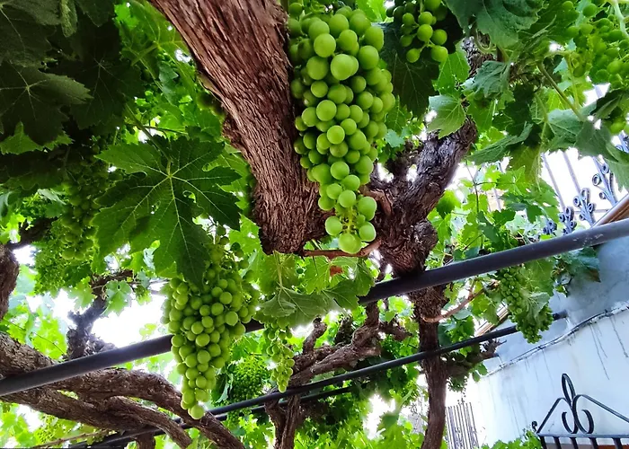 La Casita De La Parra Ronda